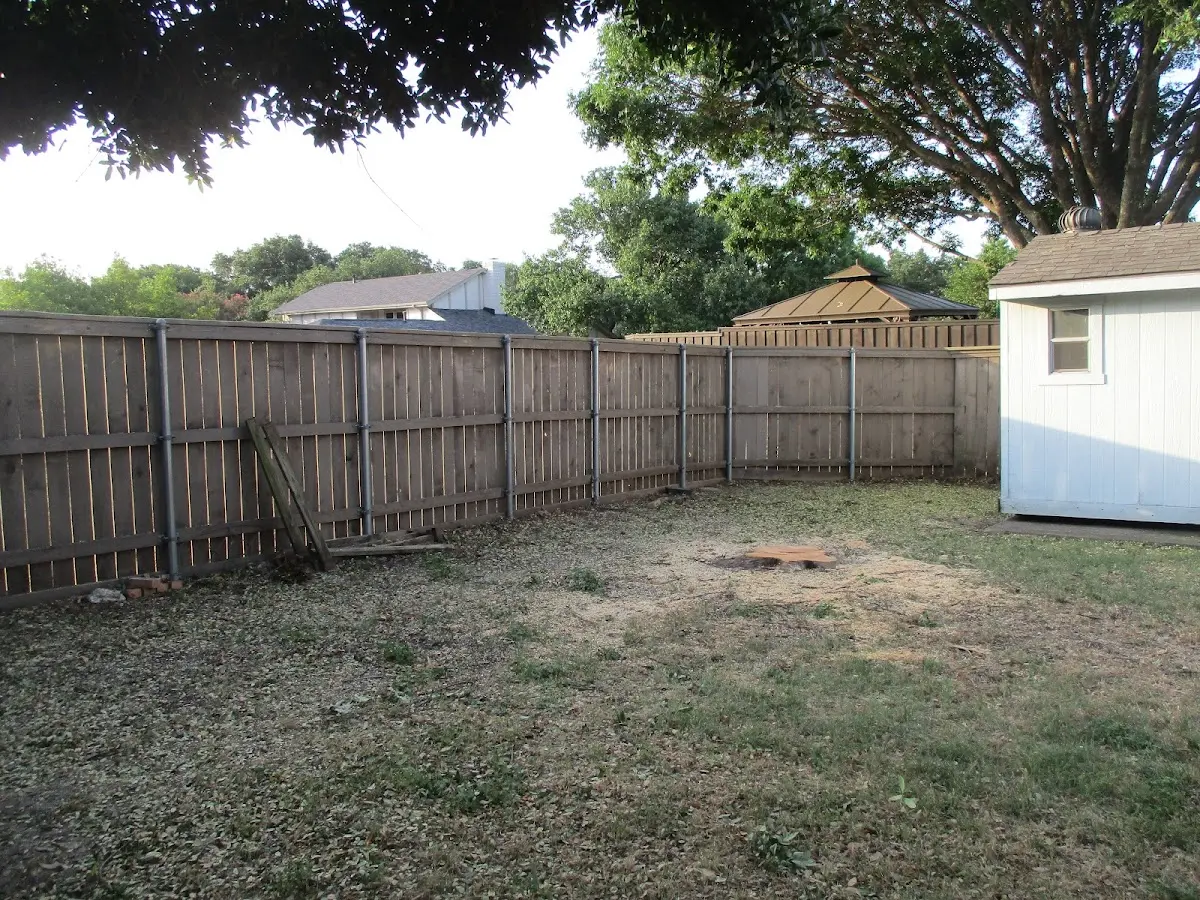 Cleared yard after professional tree removal in Gunnison